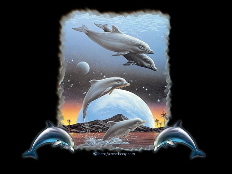 dauphins